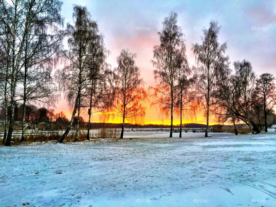 Red landscape!! 