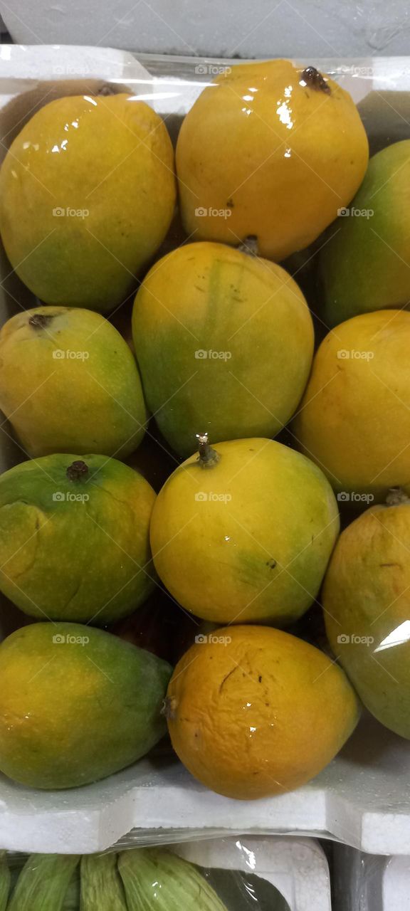 mango fruit