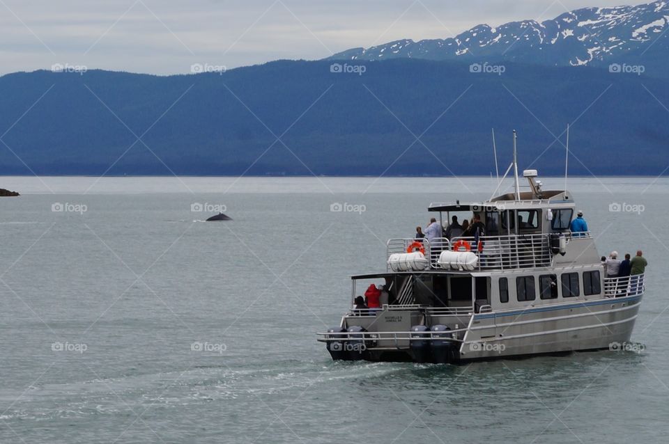 Boats whale watching off the coast of Alaska