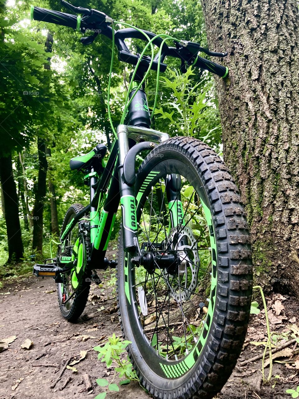 
Green bicycle for teenagers