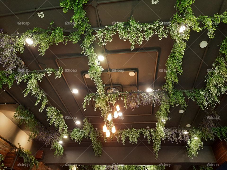 Decorative false ceiling