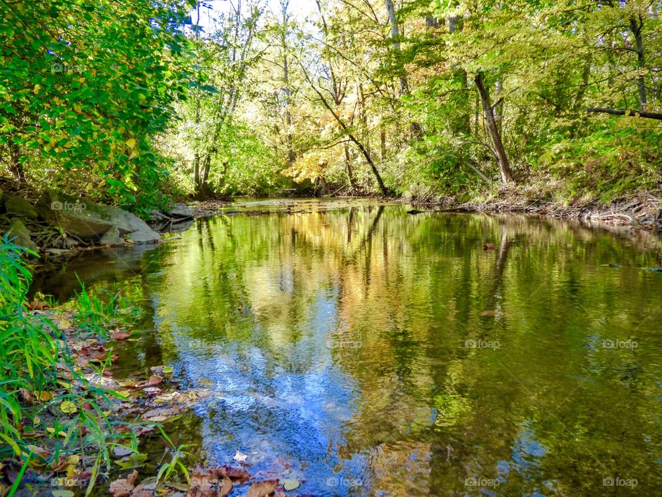 Beautiful view of falls park