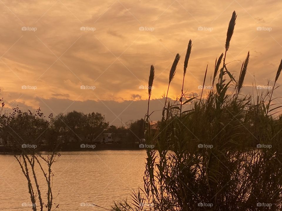 Clouds cover the field Cat Tail swaying in the wind. Setting Sun  has a tuff time showing evening Colours. 