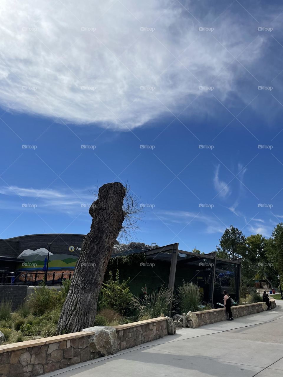 Perfect combination!!!!