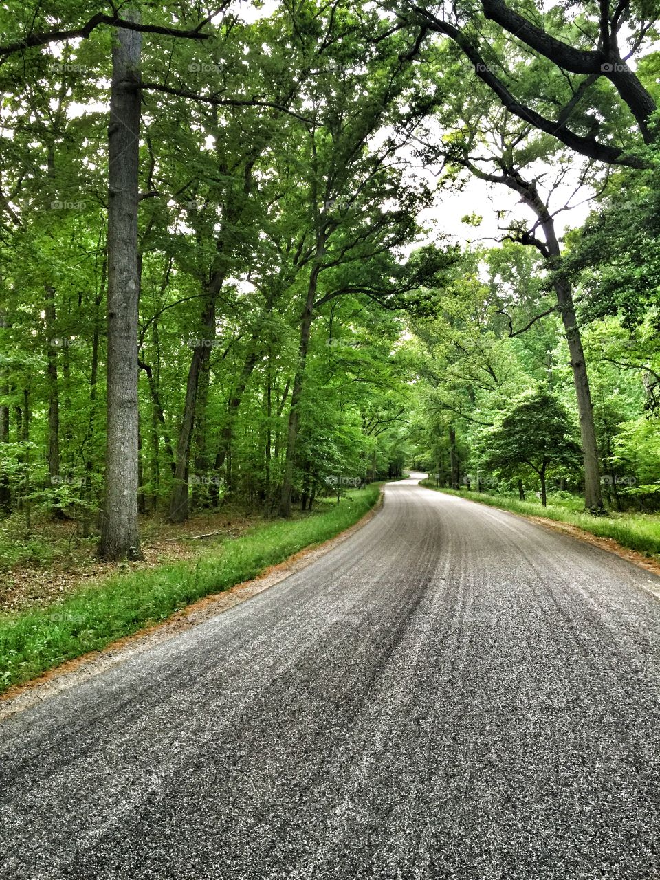 Green Road. A curvy road that goes through Battlefield Park in Fredericksburg.
