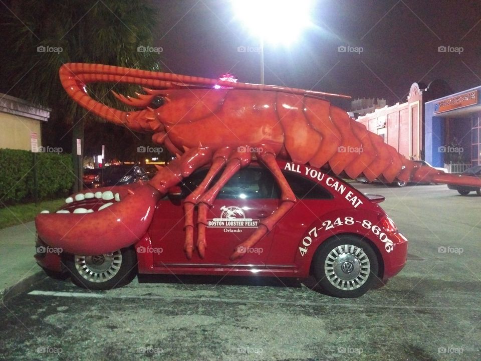 The Lobster car
