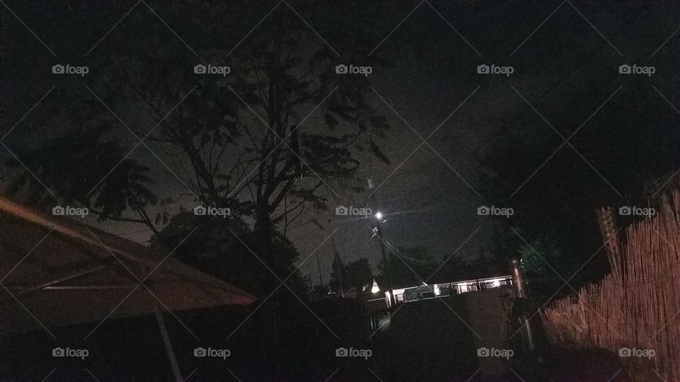 Tree, Landscape, Light, Silhouette, Storm