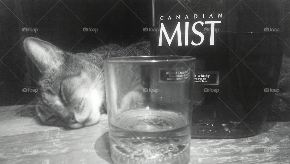 Party Pooper. Right place, right time. just funny