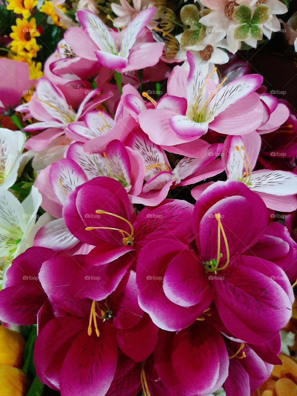 Springsteen in Brazil