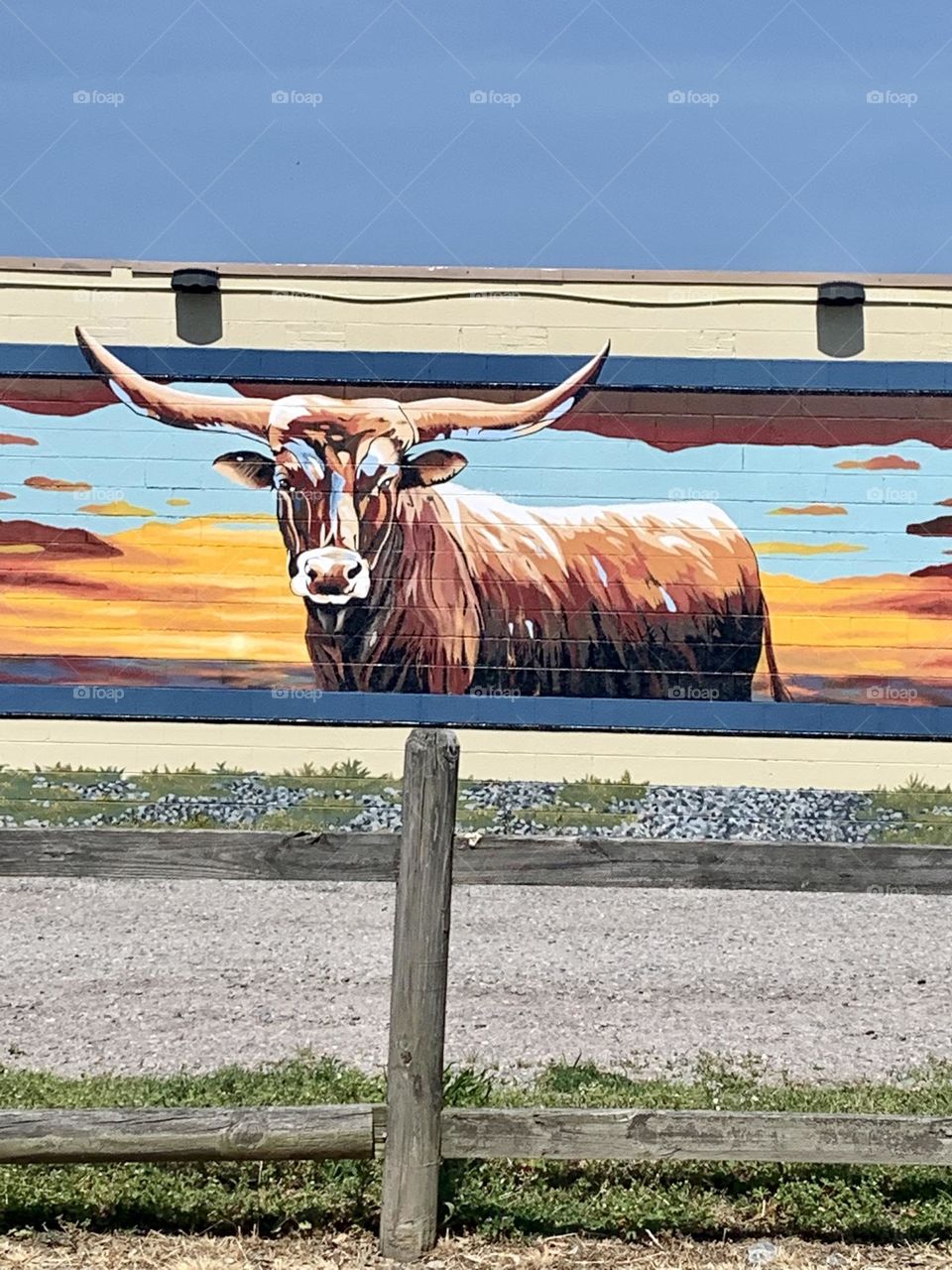 Cattle mural