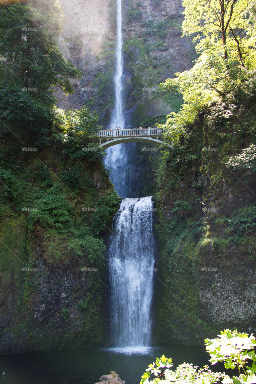 Waterfall, Water, Stream, River, Nature