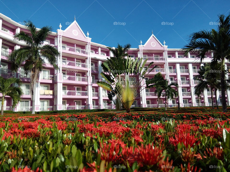 Garden, Architecture, Flower, Building, No Person