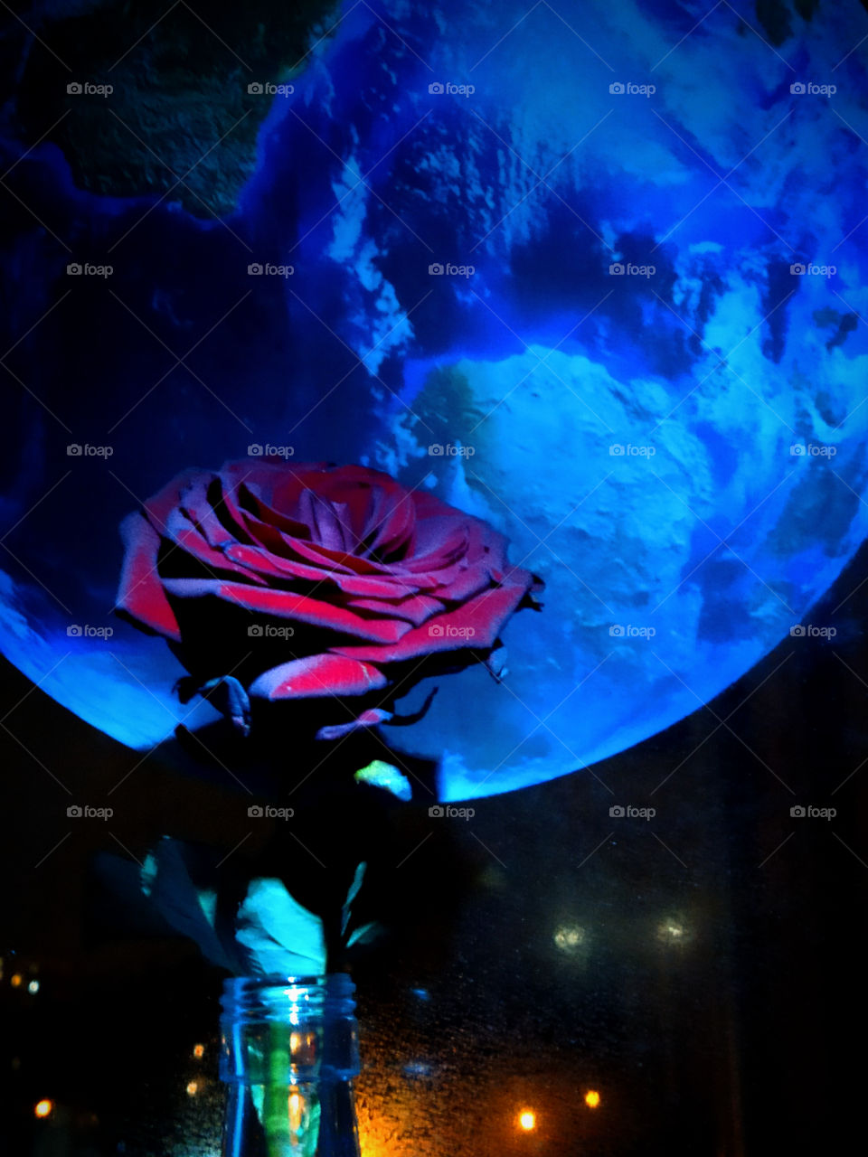 Burgundy rose against the background of a picture of the moon in the dark with street lighting