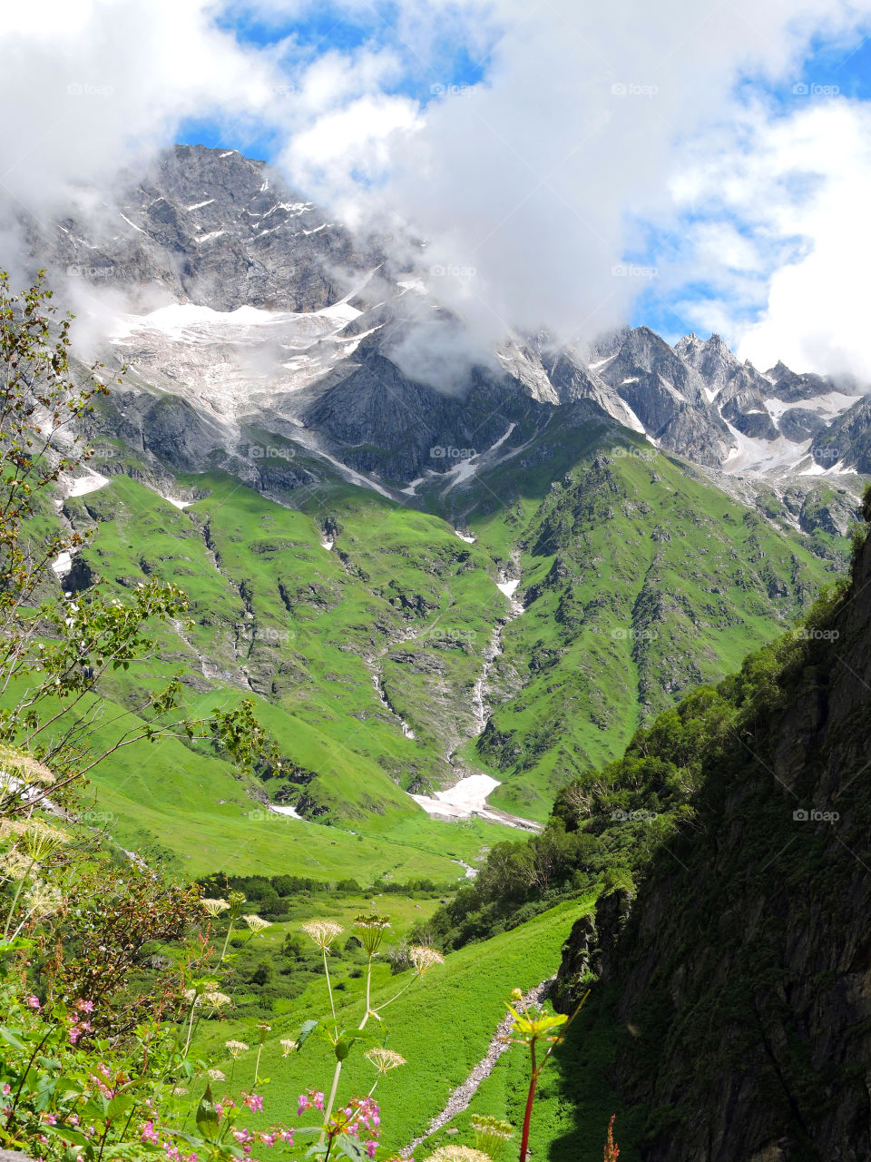 Valley of Flowers