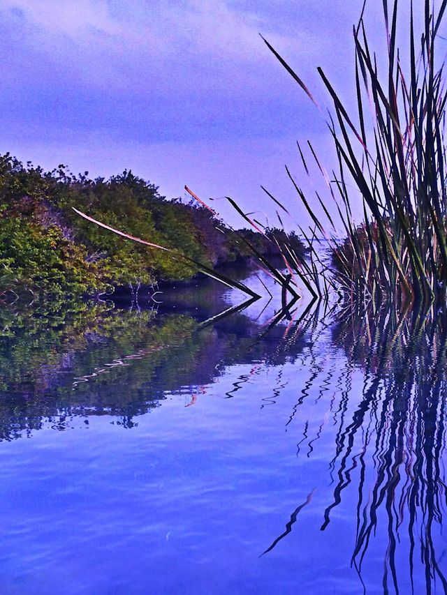 Canal At Bird Sanctuary