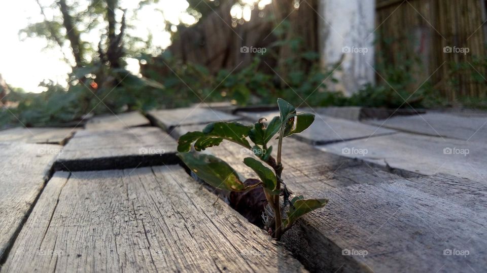 nao existe obstáculos pra vida