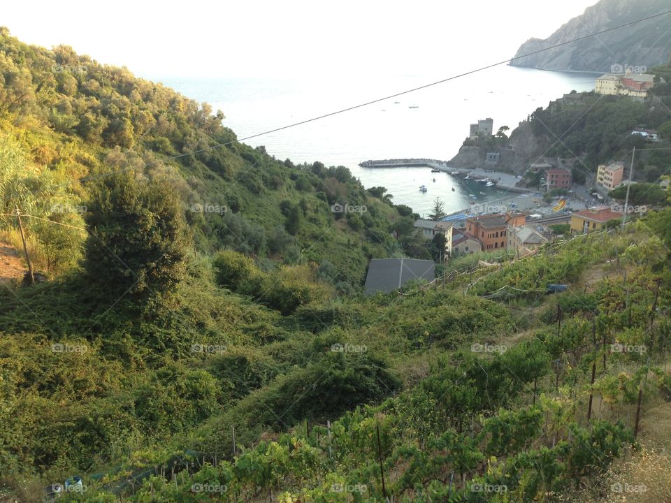 Cinque terre view