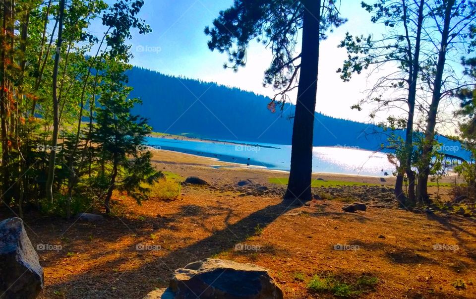 Philbrook lake,  California