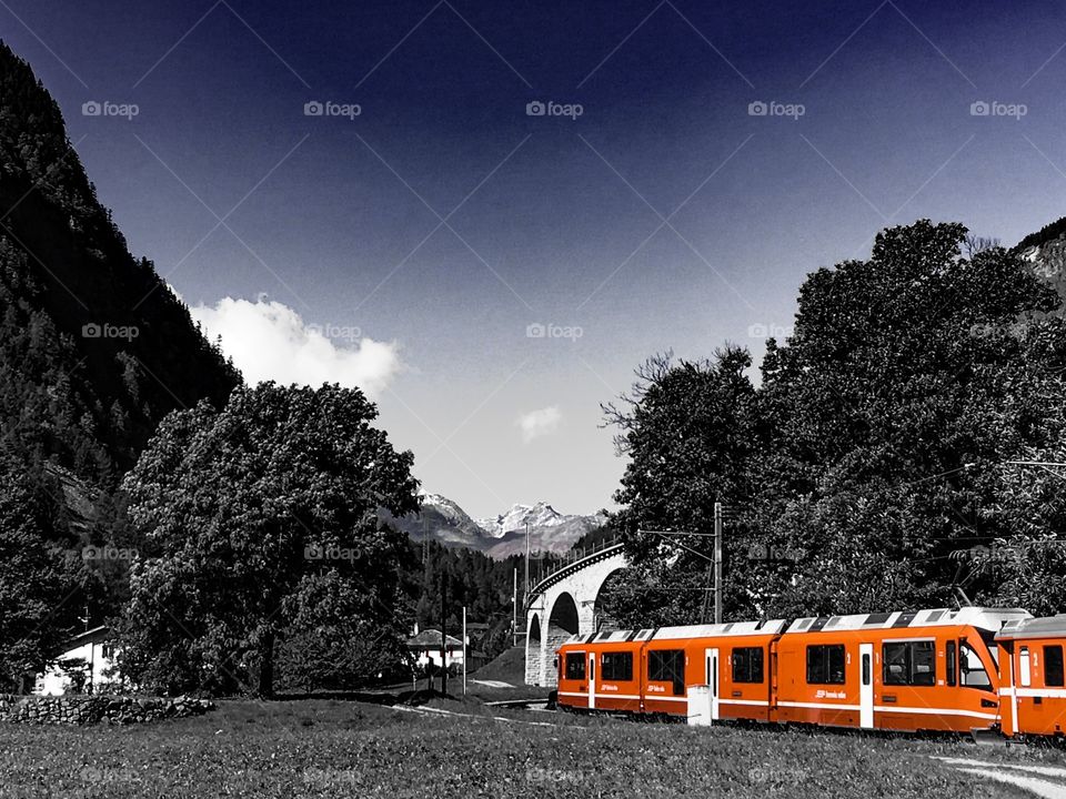 Bernina red rail tour 