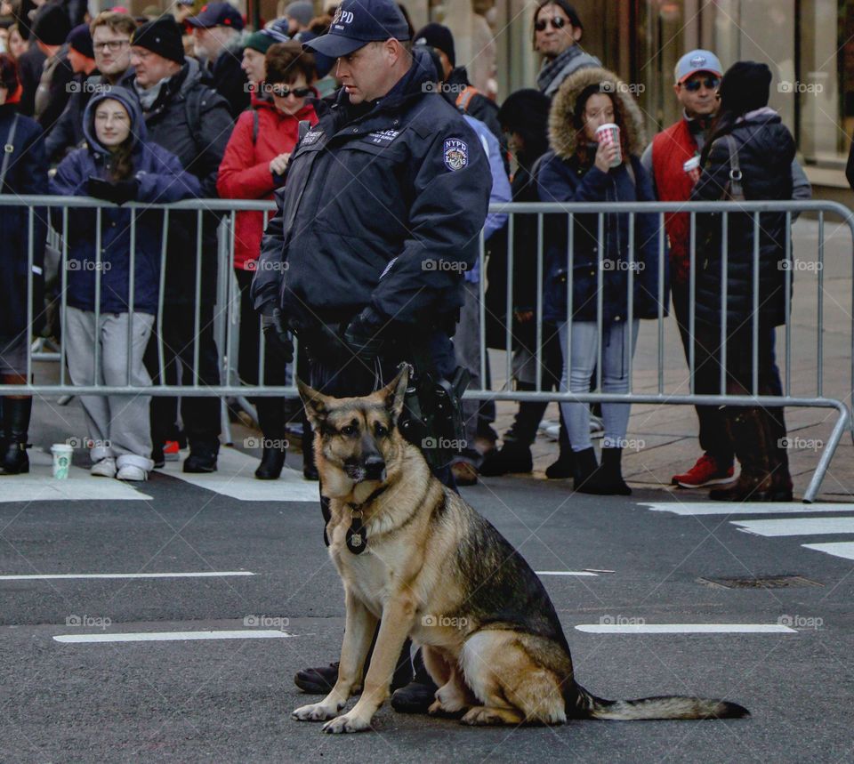 Working the Veterans Day Parade in nyc 