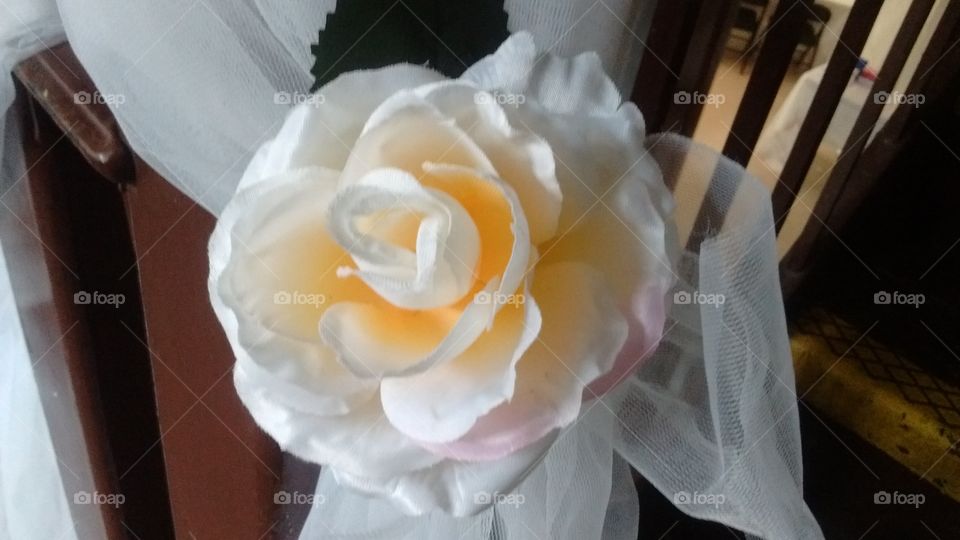 Wedding, Flower, Rose, Bride, Love