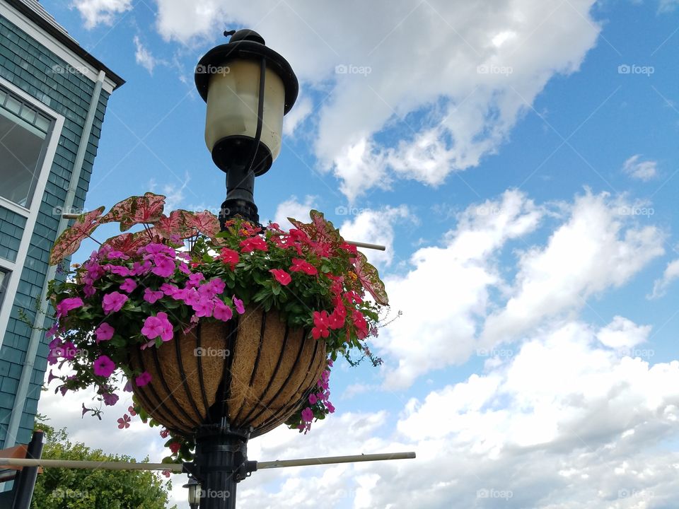 Flower basket against sky