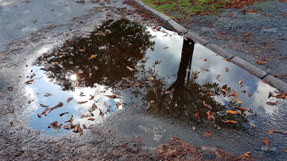 Autumn rain reflections 