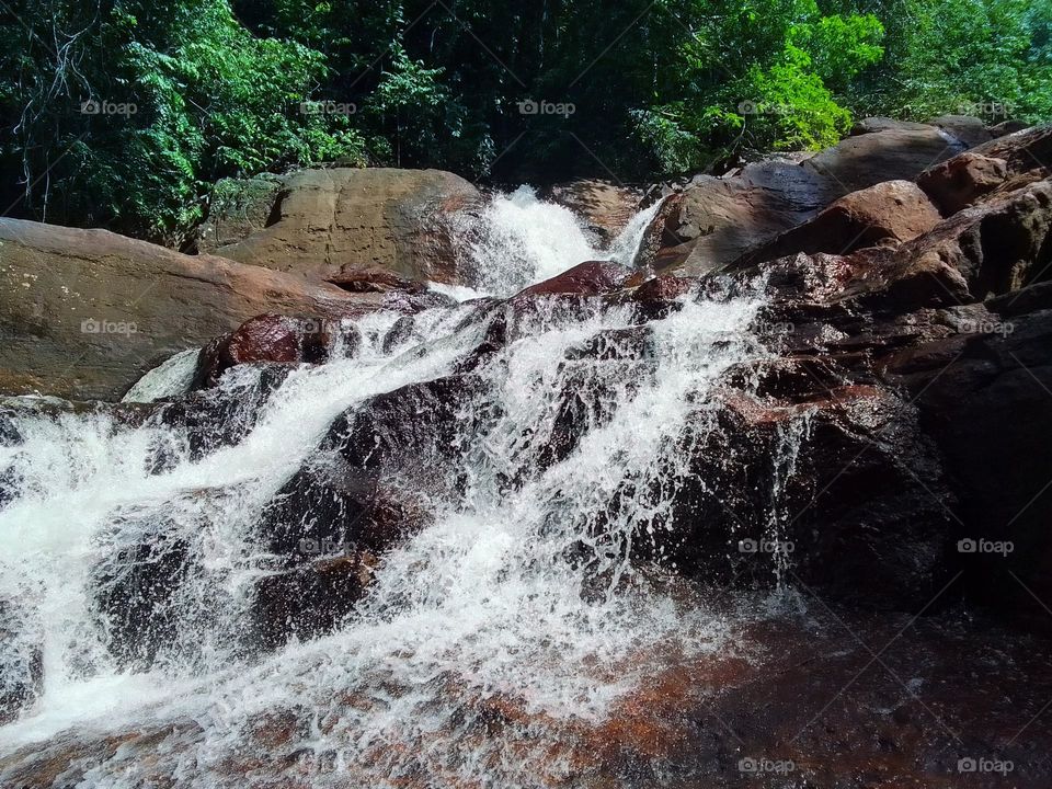 Kanneliya forest
Sri lanka 
water falls