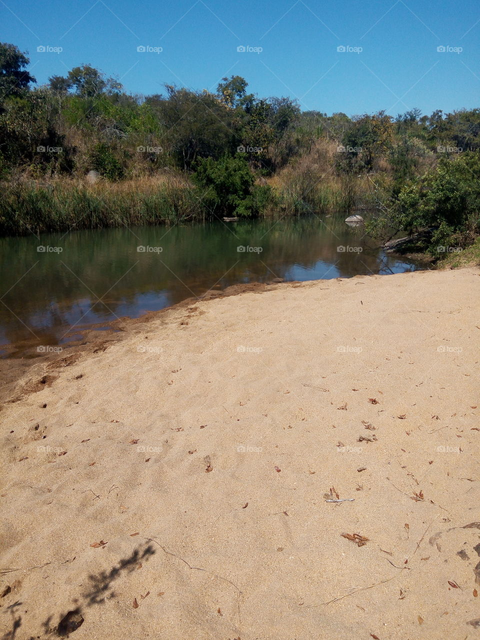 River bank and sand