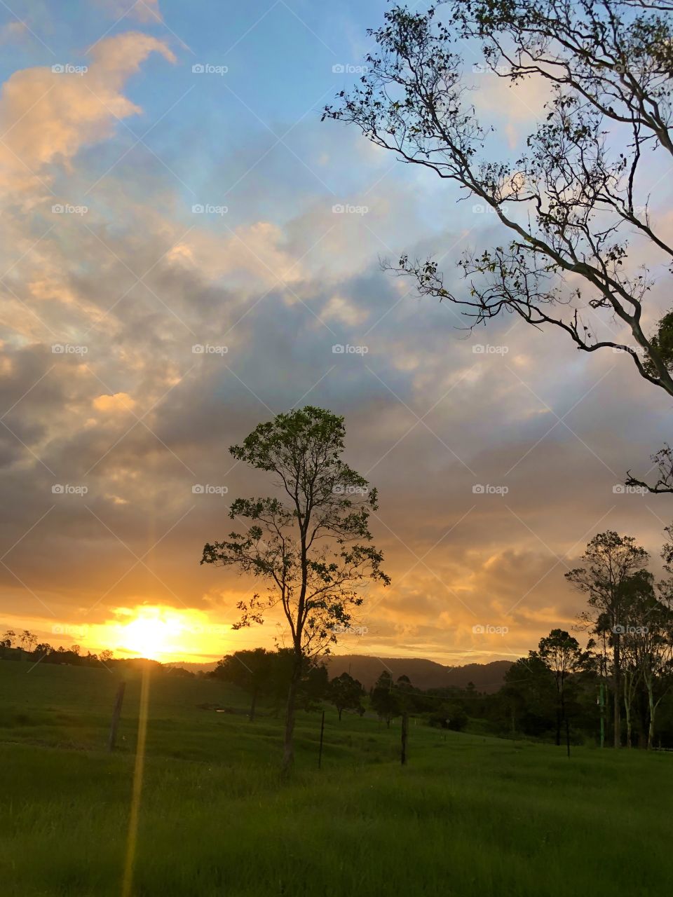 Beautiful afternoon.