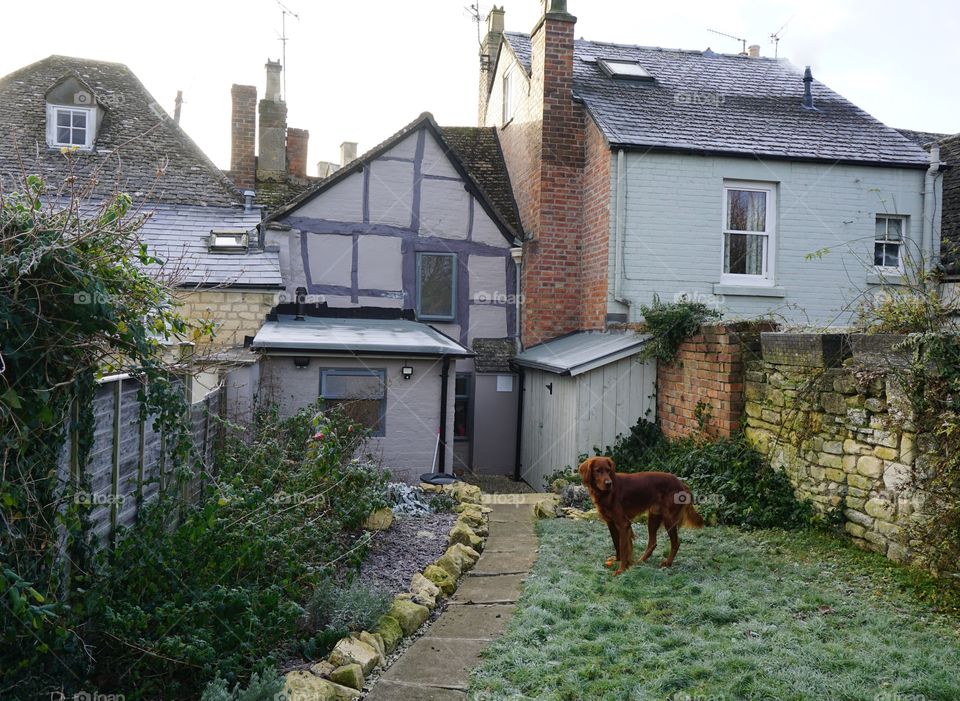 Rear of our wibbly wobbly holiday cottage .. 