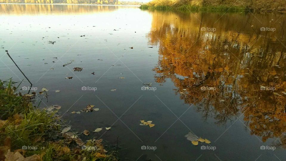 Water, Reflection, No Person, Lake, River