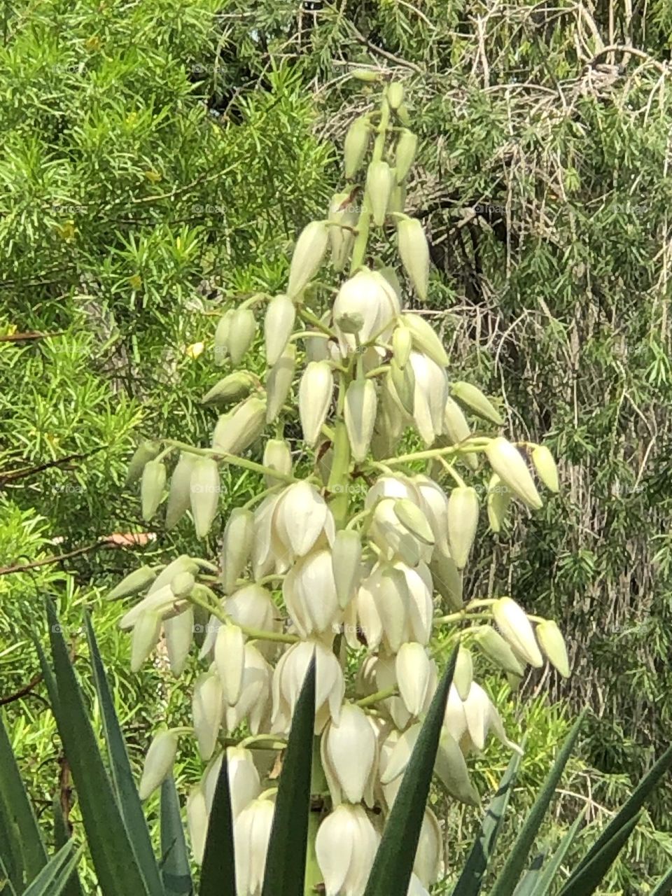 Upload the photo of the month July