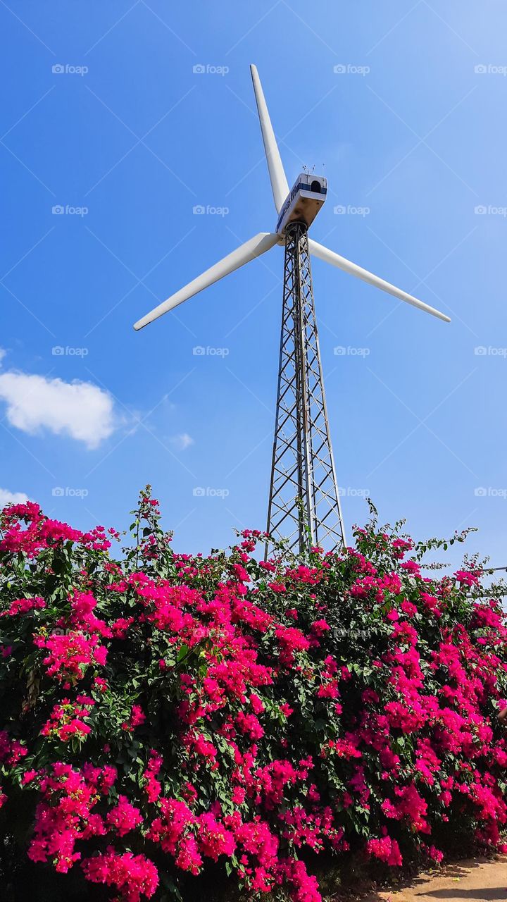 Wind Turbine behind a flower bush and a sky background