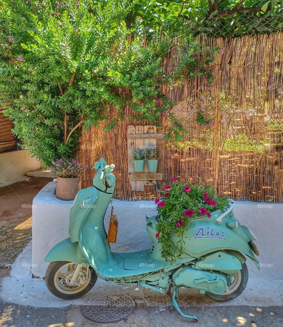 Ride on summertime ☀️