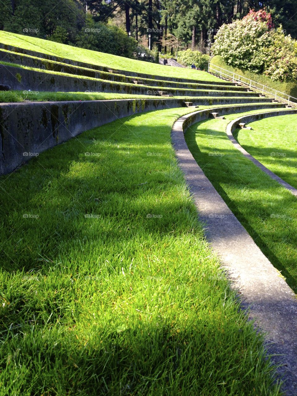 Grassy Amphitheater. Grassy amphitheater in Portland Oregon