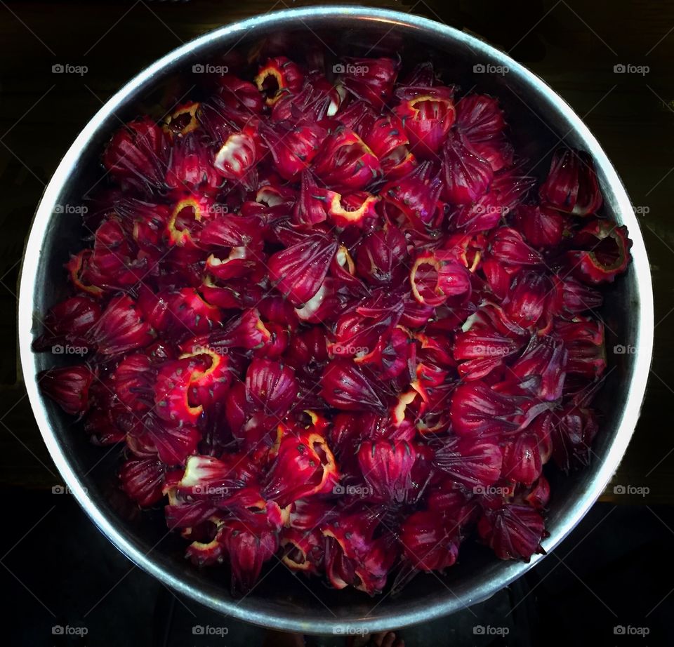 Making hibiscus tea