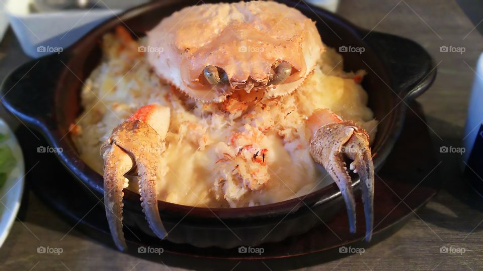 Crab　doria