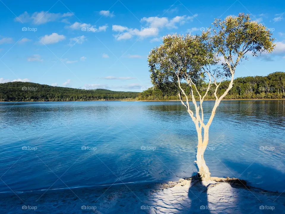 Lake McKenzie