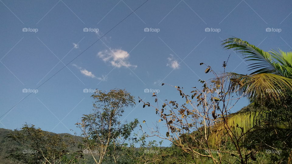 ENVIRONMENT NATURE NATURAL