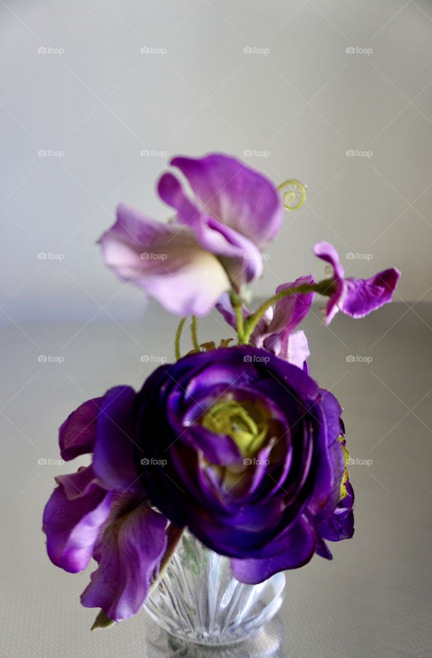 A purple posy to brighten a small corner. 