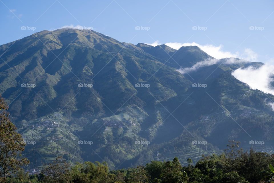 scenery in Mt merbabu this morning