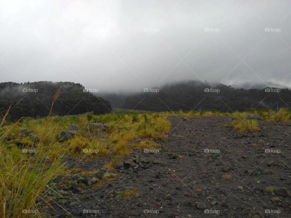 Mist on the top of the mountain