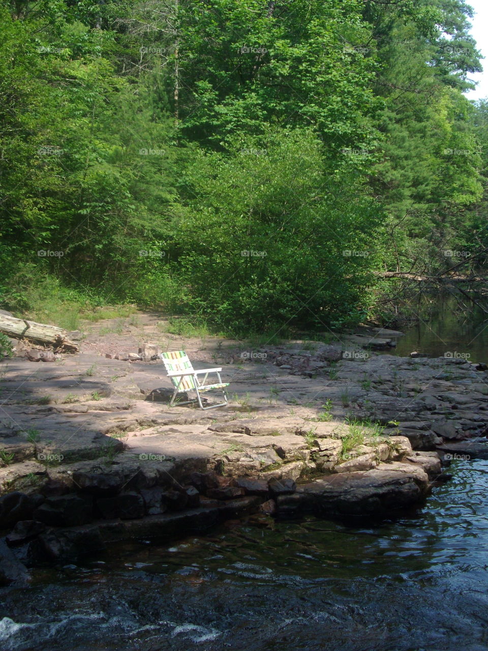 Water, No Person, River, Stream, Wood