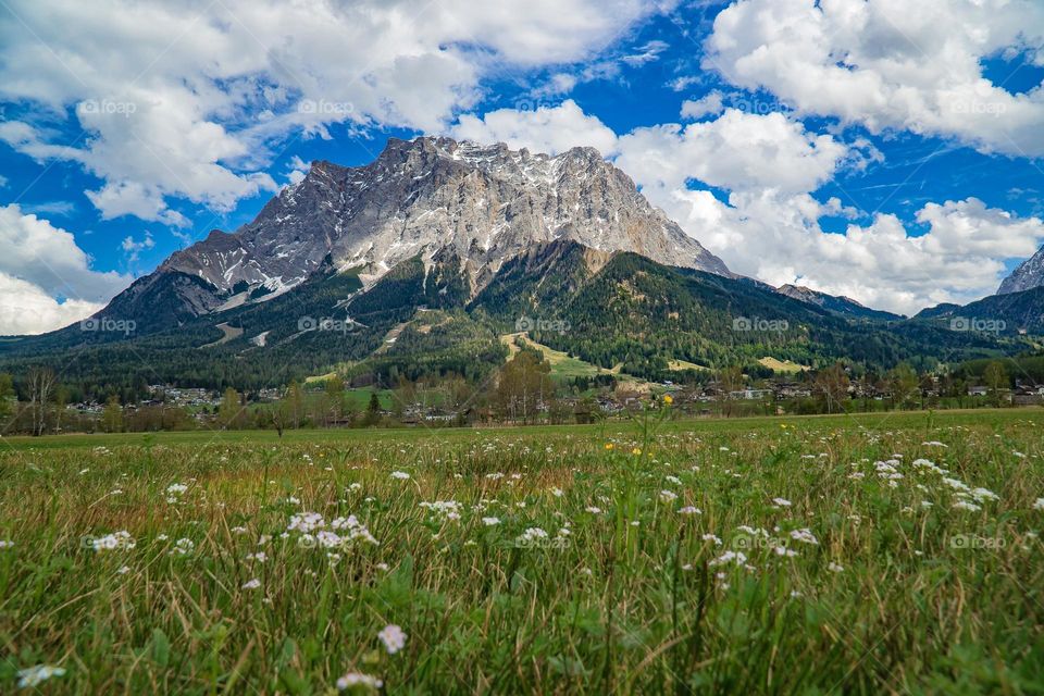 Springtime clouds and wildflowers