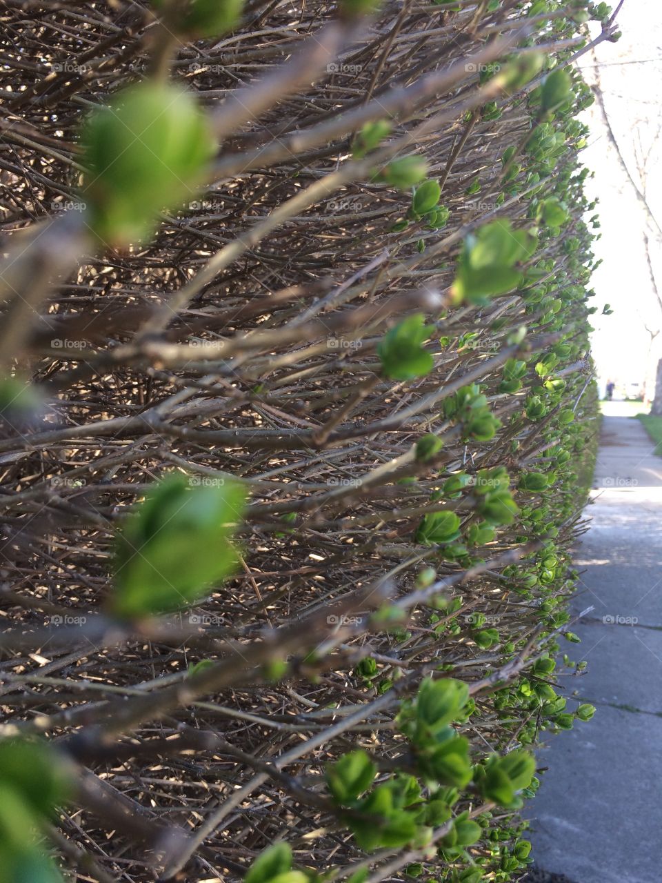 Never ending sidewalk