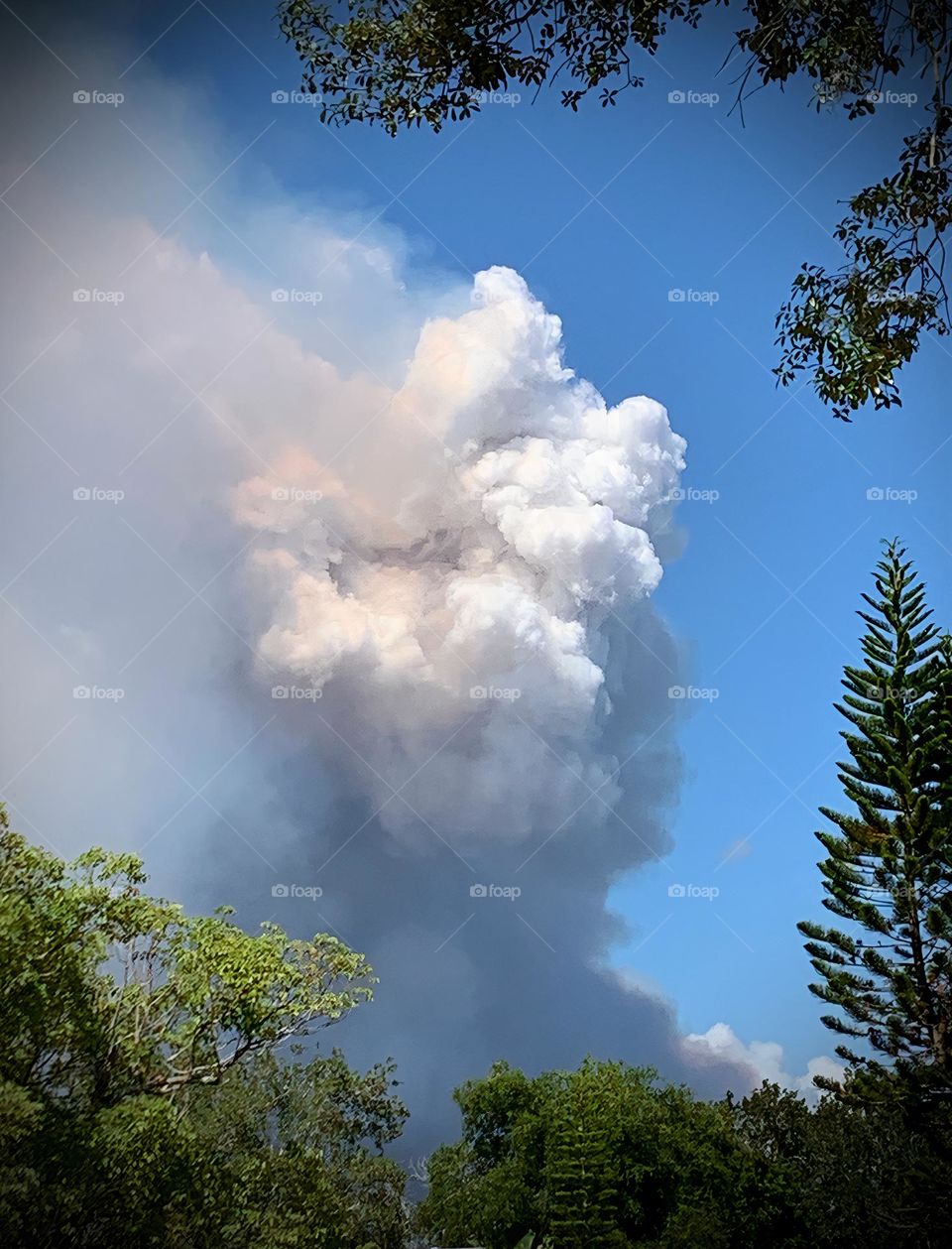 Fire Clouds Noticed Behind The trees Of The Backyard That Created Suspicions Of Possible Danger And Destruction With Spread And Unusual Clouds Formation Of Orange, Grey And Dark Color. Looks Like A Cumulonimbus And A Face.