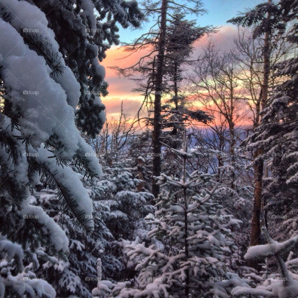 Powder coated sunset