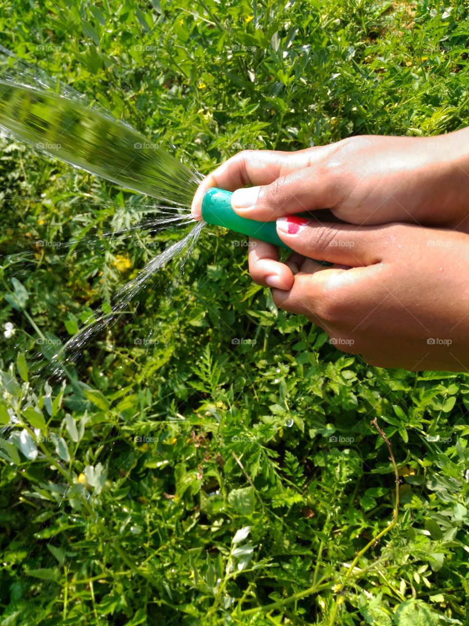 working hands close-up