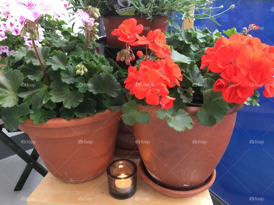Flowerpots with small candle